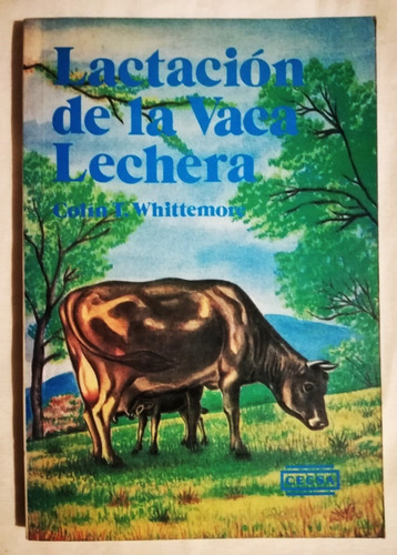 Lactación De La Vaca Lechera Colin Whittemore