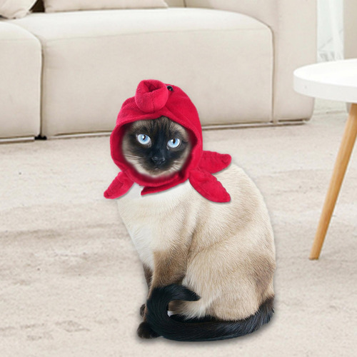 Perro Gato Sombrero Sombrero Divertido Cálido Para Pulpo