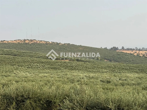 Agrícola En Venta En Pencahue, Talca, Región Del Maule