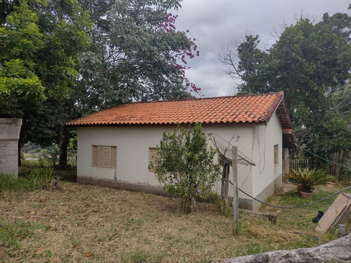 Imagem 28 de 30 de Chácara 4,5 Alqueires Casa Simples E Boa,poço Caipira Agua Cristalina,corrego No Fundo,fácil Acesso 800mts Do Asfalto,ótimo Pasto,27 Kms Itapetininga - Ch00081 - 69505662