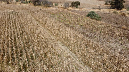 Venta De Terreno En San Miguel Zacango Muy Cerca De Residencial Bonanza
