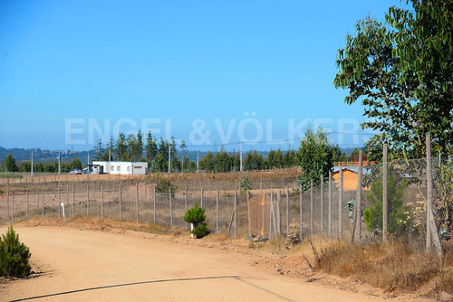 Imagen 3 de 19 de Gran Oportunidad Parcela En Condominio