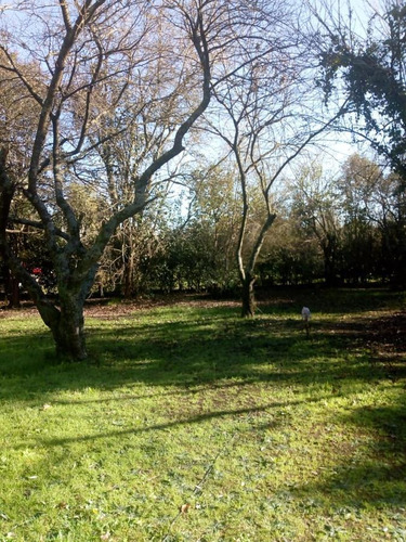 Imagen 8 de 11 de Quinta - Los Pozos