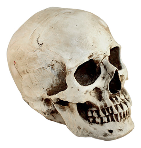 Lifesize 1: 1 Prop Model White Human Resin