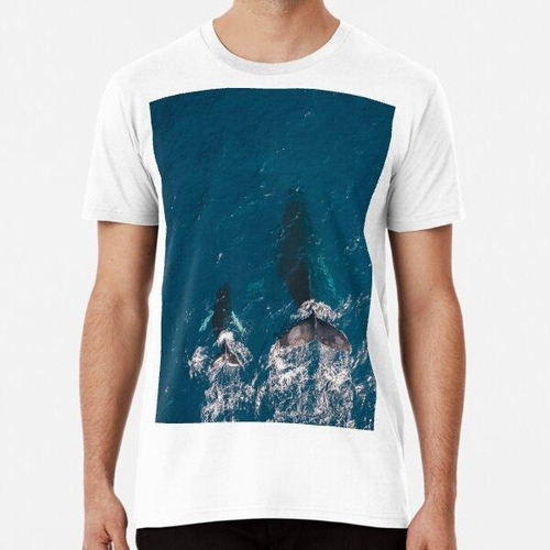 Remera Oacian Blue - Whale Algodon Premium 