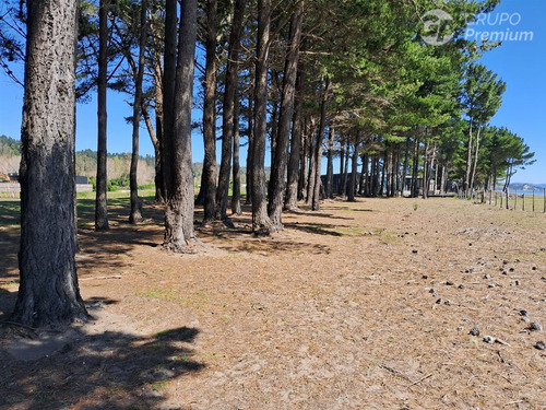 Parcela En Venta En Arauco