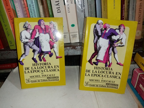 Historia De La Locura En La Época Clásica Michel Focault 