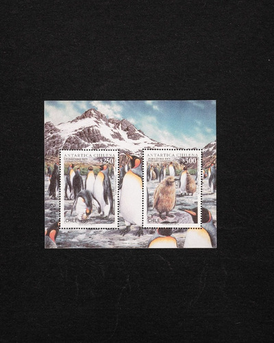 Sellos De Chile - 4 Blocks Souvenir Antártica Chilena - Mint