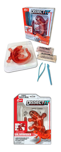 Kit De Doctor Disección Salamandra