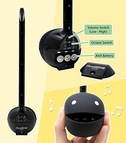 Instrumento Musical Electronico Japones Portatil Color Negro