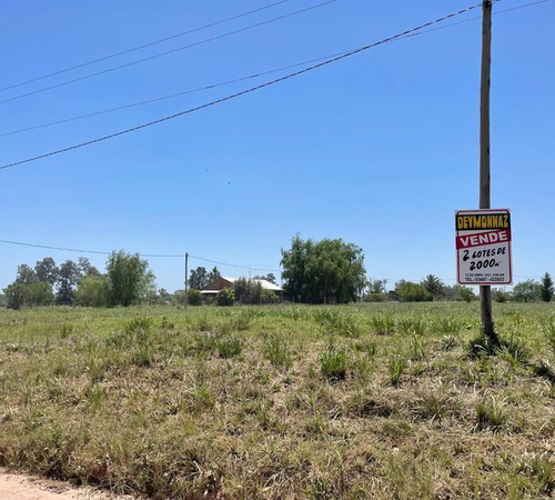 Terrenos De 2.000 M2 En Colón