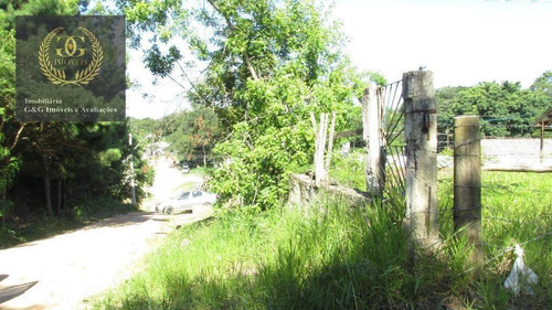 Imagem 4 de 12 de Terreno Residencial À Venda, Centro, Viamão. - Te0048