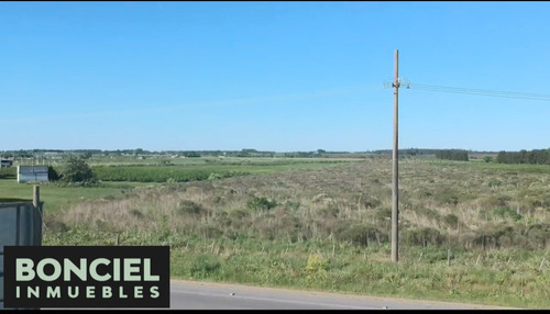 Muy Buen Terreno Logístico Ruta 5 K32 En Plena Rotonda