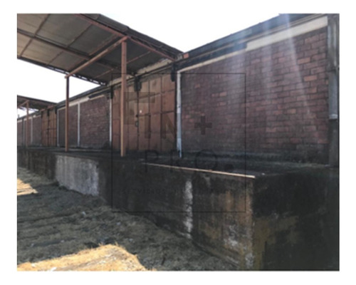 Bodega Industrial Con Oficina En Curicó - Los Niches