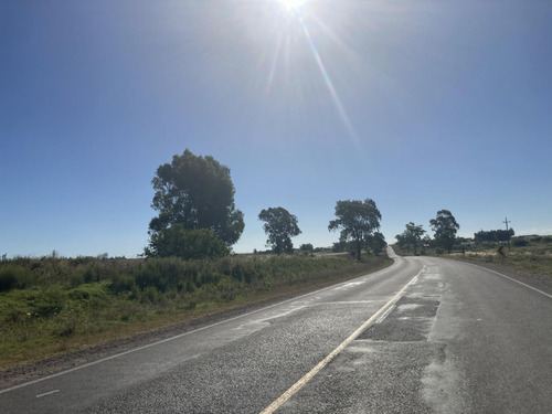 Imagen 2 de 14 de Chacra De 7 Hás Sobre Ruta 12 A 5 Km De Tala,