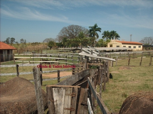 Sítio Areas Para Incorporações E Loteamentos Campinas - Sp - Carlos Gomes - Si0011