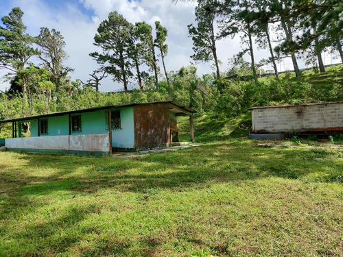 Ad. Excelente Finca En Venta La Mulera