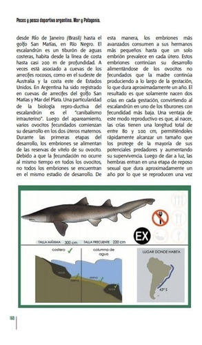 Irigoyen Peces Y Pesca Deportiva Argentina - Mar Y Patagonia