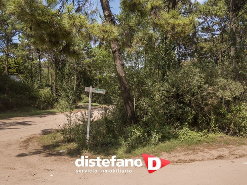 Imagen 10 de 13 de Terreno En Venta En Carilo