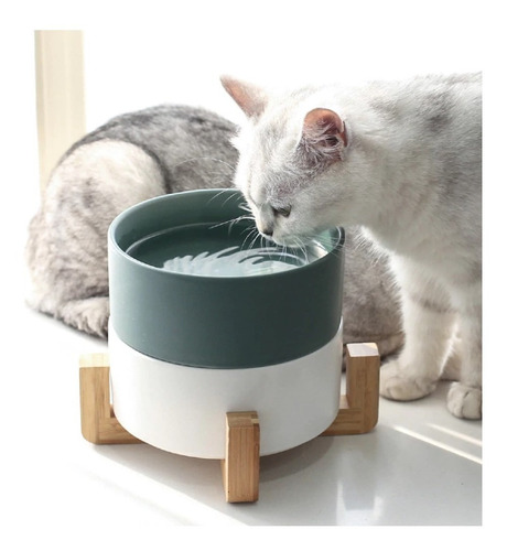 Comedero Bebedero Ceramico Base Madera Gato Perro Naranja S