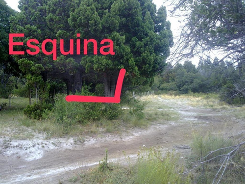 Imagen 17 de 23 de Terreno - Meliquina