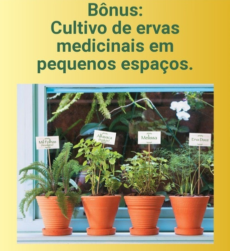 Imagem 3 de 4 de Video Aulas De Cultivo De Arvores Frutíferas Em Vasos