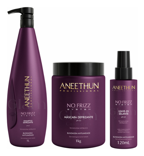 Aneethun Kit No Frizz Shampoo E Mask Litro + Leave In