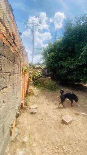 Lote Murado Com Barracão Ótima Localização