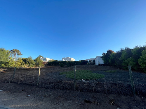 Imagen 8 de 17 de Venta De Terreno En Excelente Condominio.