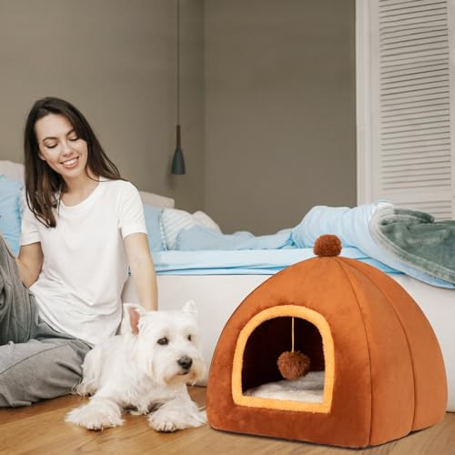 Cama Tipo Cueva Para Gatos 2 En 1 Con Almohada Lavable