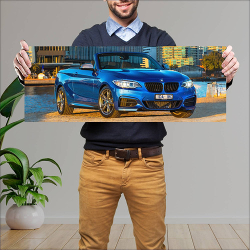 Cuadro 30x80cm Auto 2015 Bmw M235i Convertible A 314