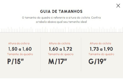 Bicicleta 29 Blitz Pontal Mtb, aluminio, 21 V, freno de disco, color gris claro, marco tamaño 17
