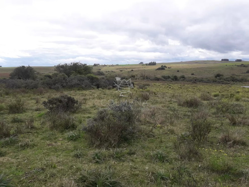 Campo 21 Has En Paraje José Ignacio