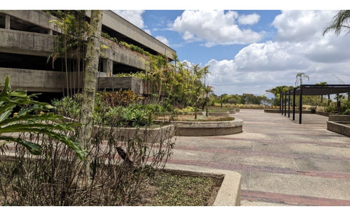 Exclusivo Apartamento En Venta En Alto Hatillo En Calle Cerrada