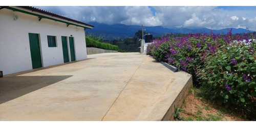 Venta Finca 14 Ha, Boconó Edo. Trujillo, Venezuela