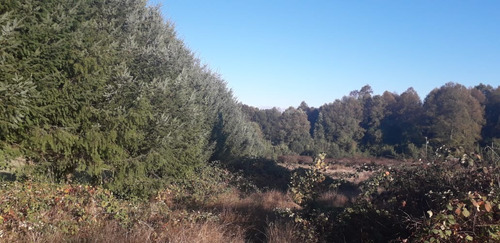 Imagen 5 de 7 de Se Vende Terreno En El Proyecto Inmobiliario La Estrella