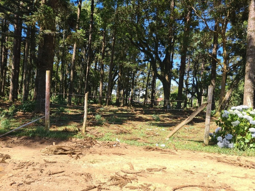 Imagem 14 de 14 de Terreno