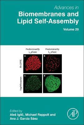 Libro Advances In Biomembranes And Lipid Self-assembly: V...