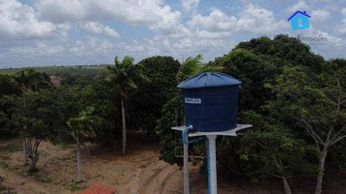 Imagem 24 de 30 de Granja Com 13 Hectares E Plantação Rentabilizando - Ch0065