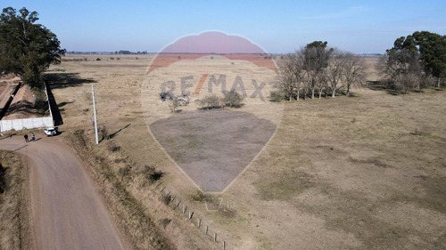 Imagen 8 de 13 de Campo 157 Hcts En Venta San Vicente P/desarrollo