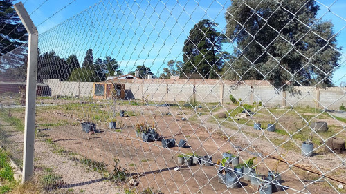 Venta Y Alquiler Lote Zona Industrial - Malvinas Argentinas