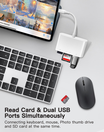 Lector De Tarjetas Sd Usb C Wnxsload Para Mac/macbook/iPad/i