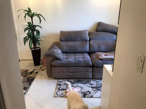 Imagem 6 de 20 de Belo Apartamento - Ap1995