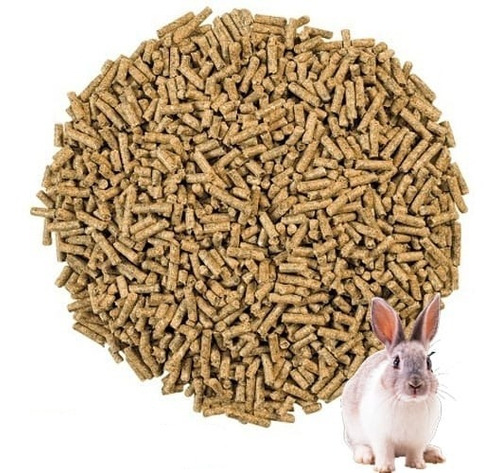 Alimento Balanceado Para Conejos, Cobayos,hamster Por 5kilos