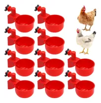 Comprar Bebedouros Automáticos Para Todas As Aves Galinhas Codornas