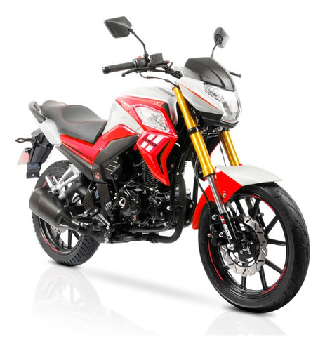 Forro Moto Broche + Ojillos Vector 250cc Rojo 2020