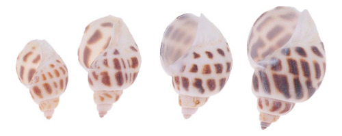De Playa Mixtas Mar Artesanías Marinas Acuario # 2 500g