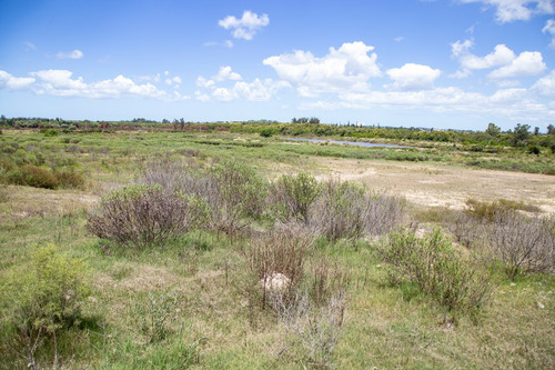 Venta Campo 20 Has