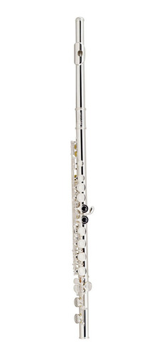 Flauta De Hoyos Cerrados Aristocrat Outfit Selmer Fl600