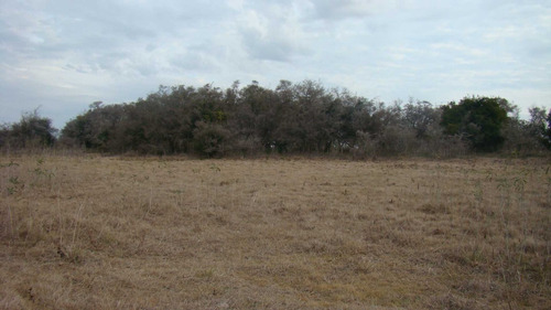Imagen 5 de 10 de 93 Has Punta Indio - Buenos Aires